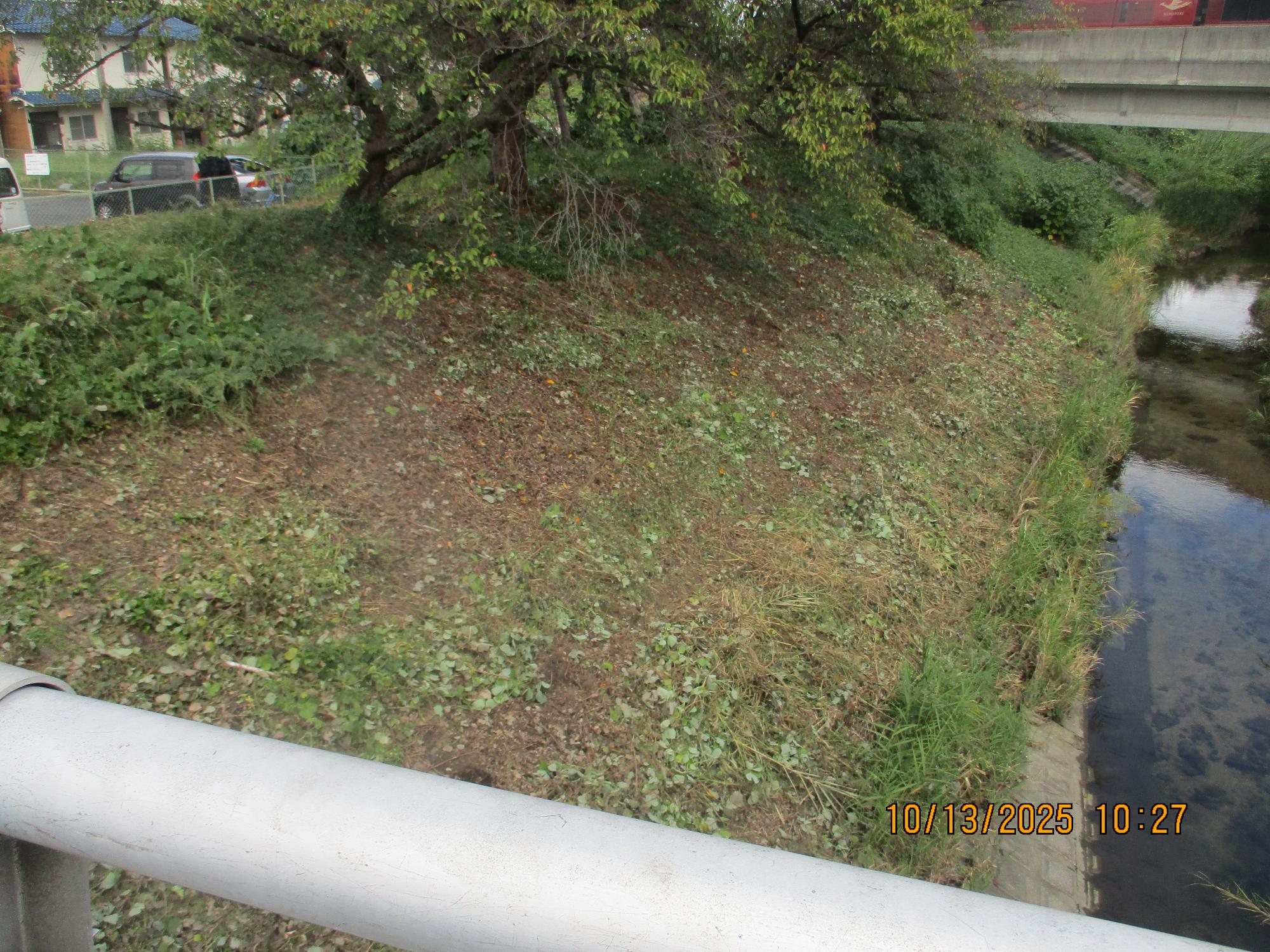 草刈り後の様子