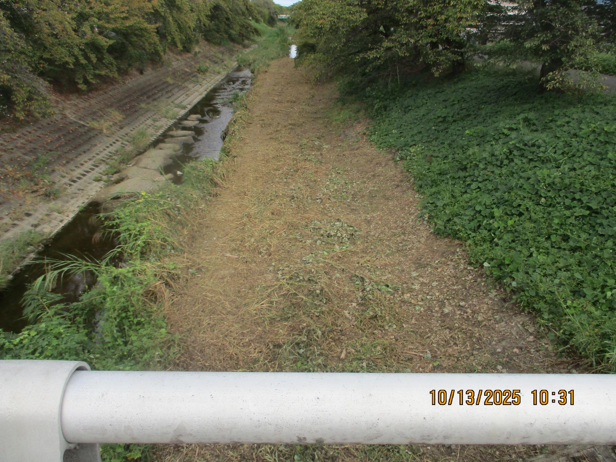 草刈り後の様子