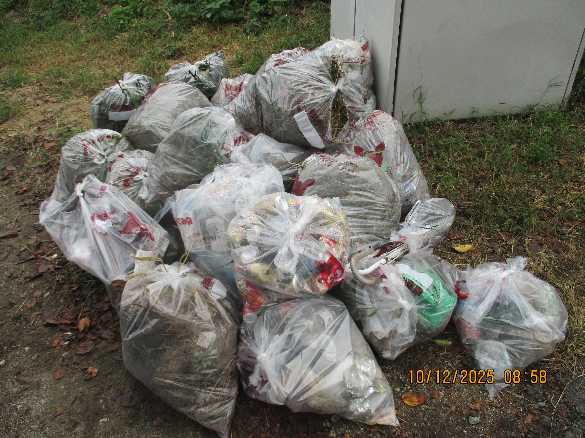 10月12日飛鳥川周辺の清掃活動の成果