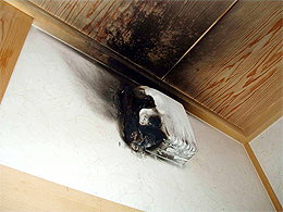換気扇のコンデンサー劣化による火災事故写真