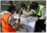 災害ボランティアセンター設置・運営訓練の様子