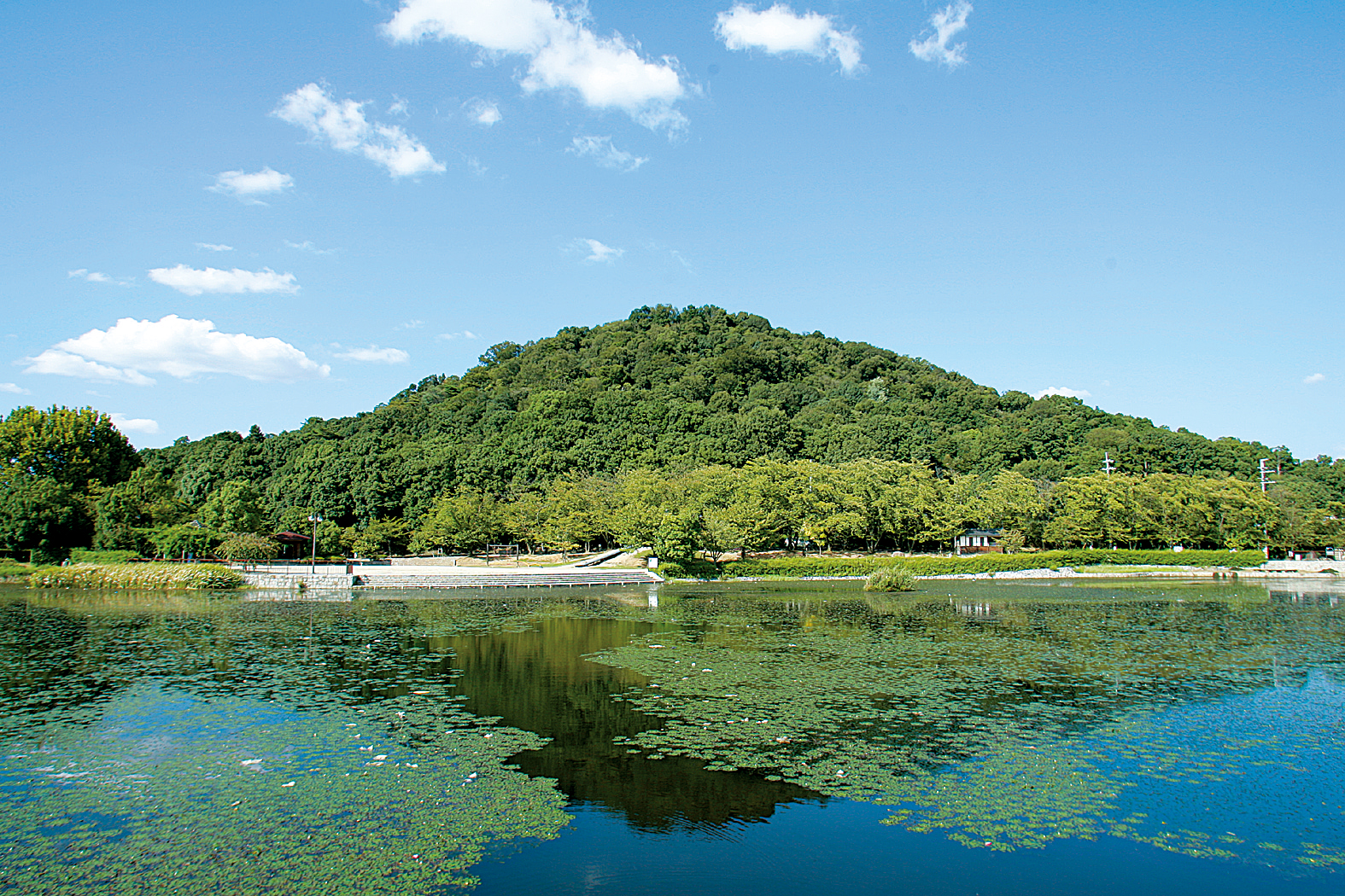 大和三山の一つ耳成山を池から望む写真