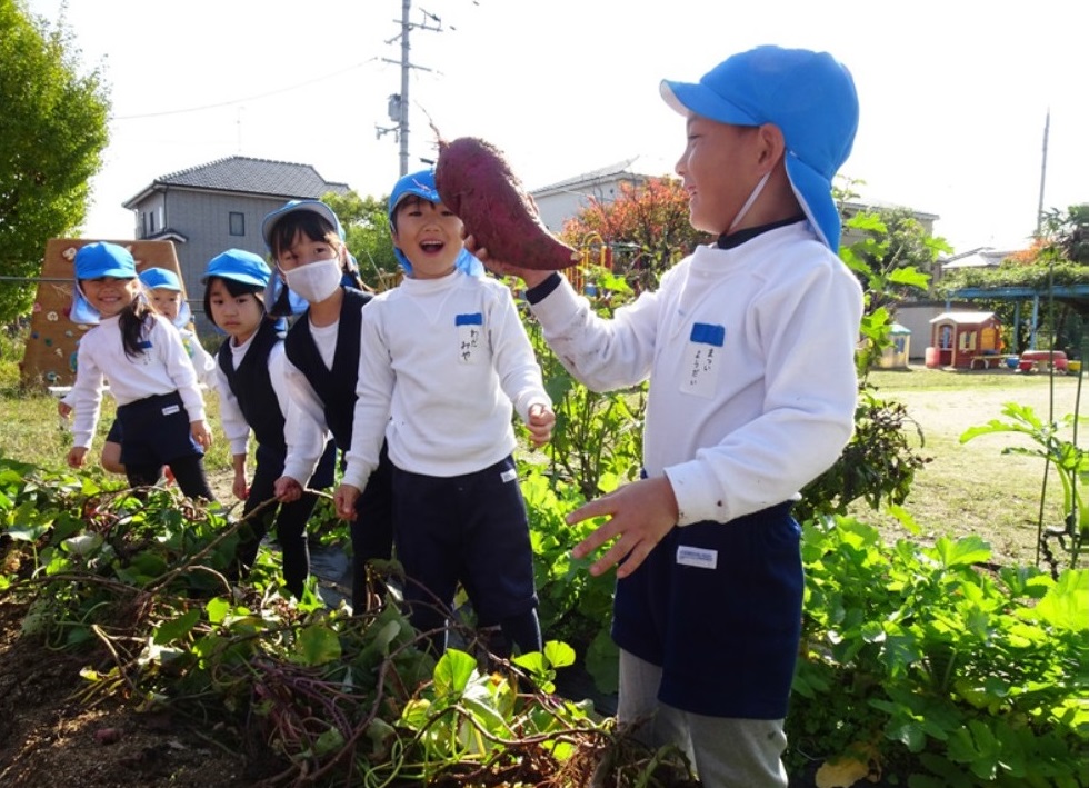 芋畑で大きなサツマイモを手に収穫を喜ぶ男の子とそれを見て一緒に喜ぶ子どもたちの様子