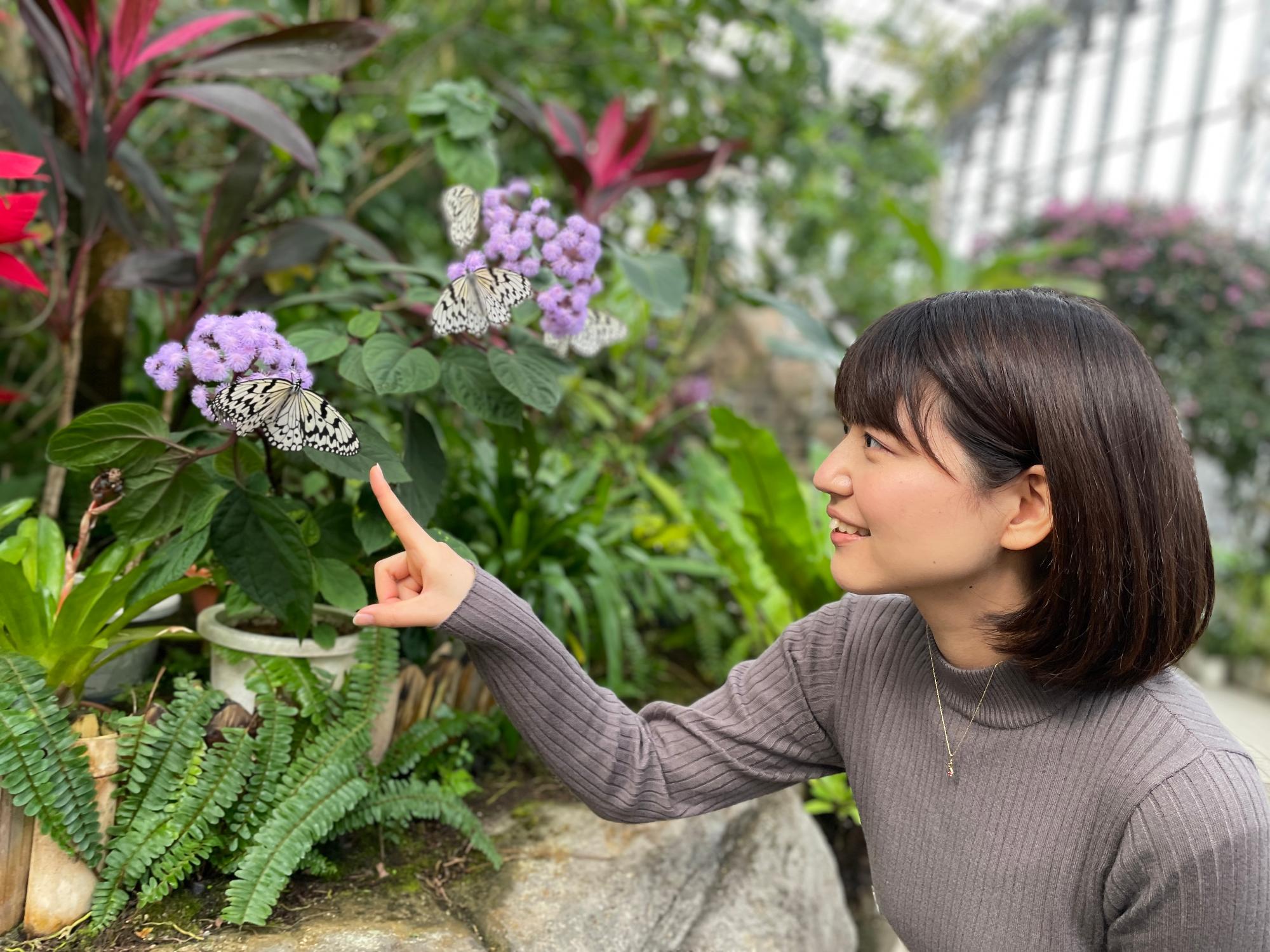 紫の花の蜜を吸う蝶々に指先を向けて様子を眺めている女性の様子