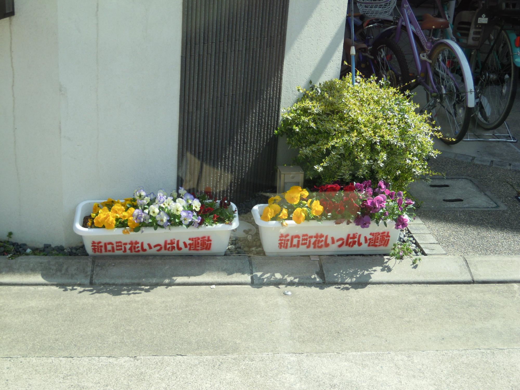 新口町会員自宅前で色とりどりの花が咲いている「新口町花いっぱい運動」と書いてある植木鉢2つの写真