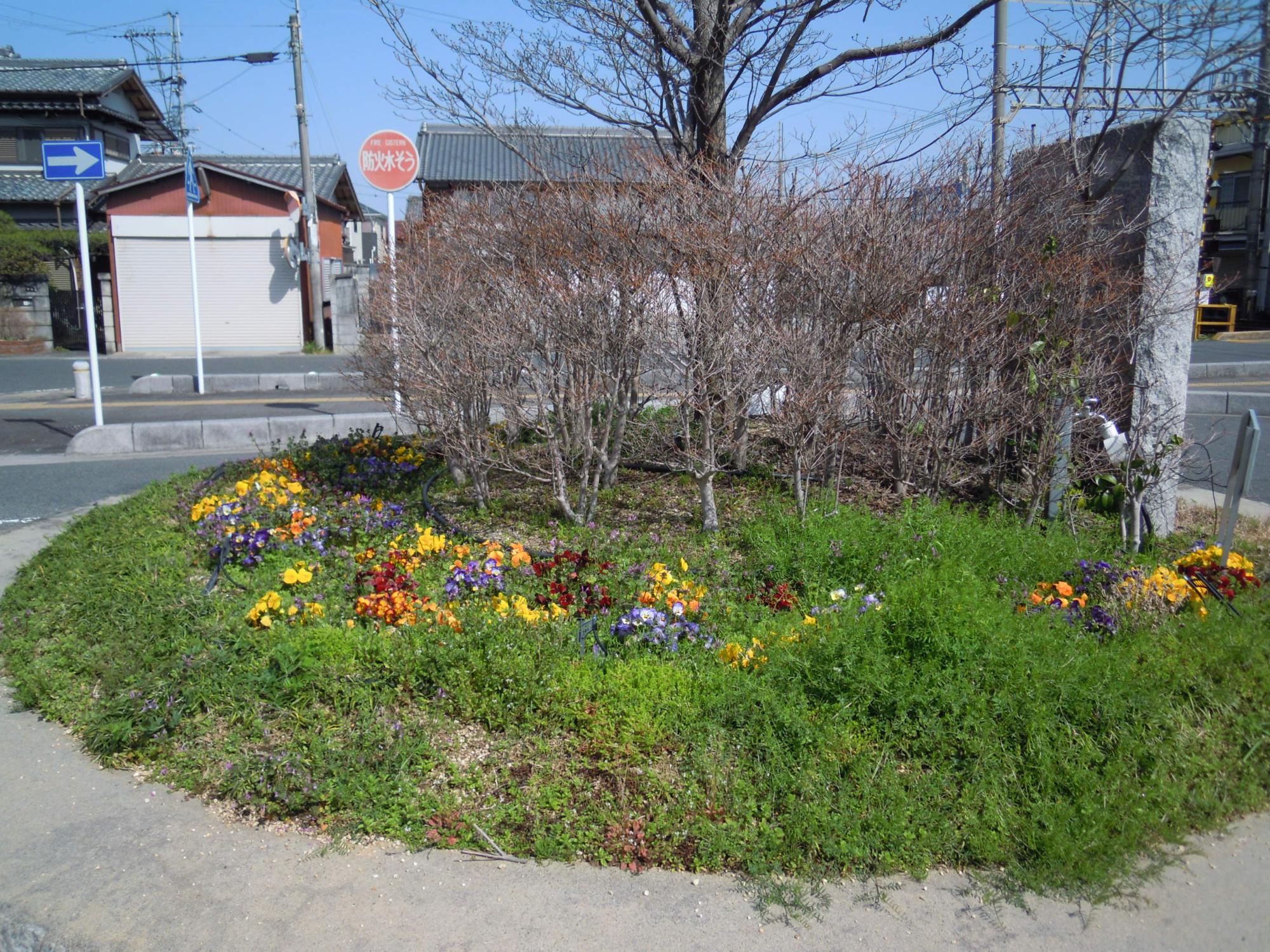 新ノ口駅前ロータリーにある色とりどりの花が咲いている花壇の写真