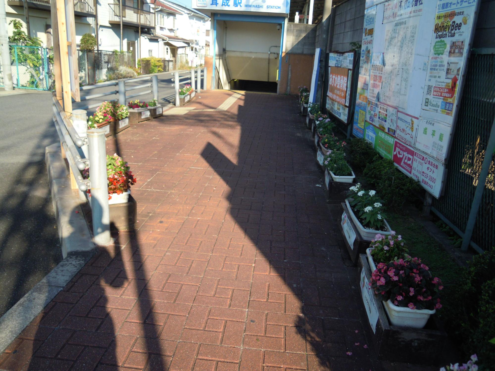 近鉄耳成駅北歩道にある色とりどりの花が咲いているたくさんある植木鉢の写真