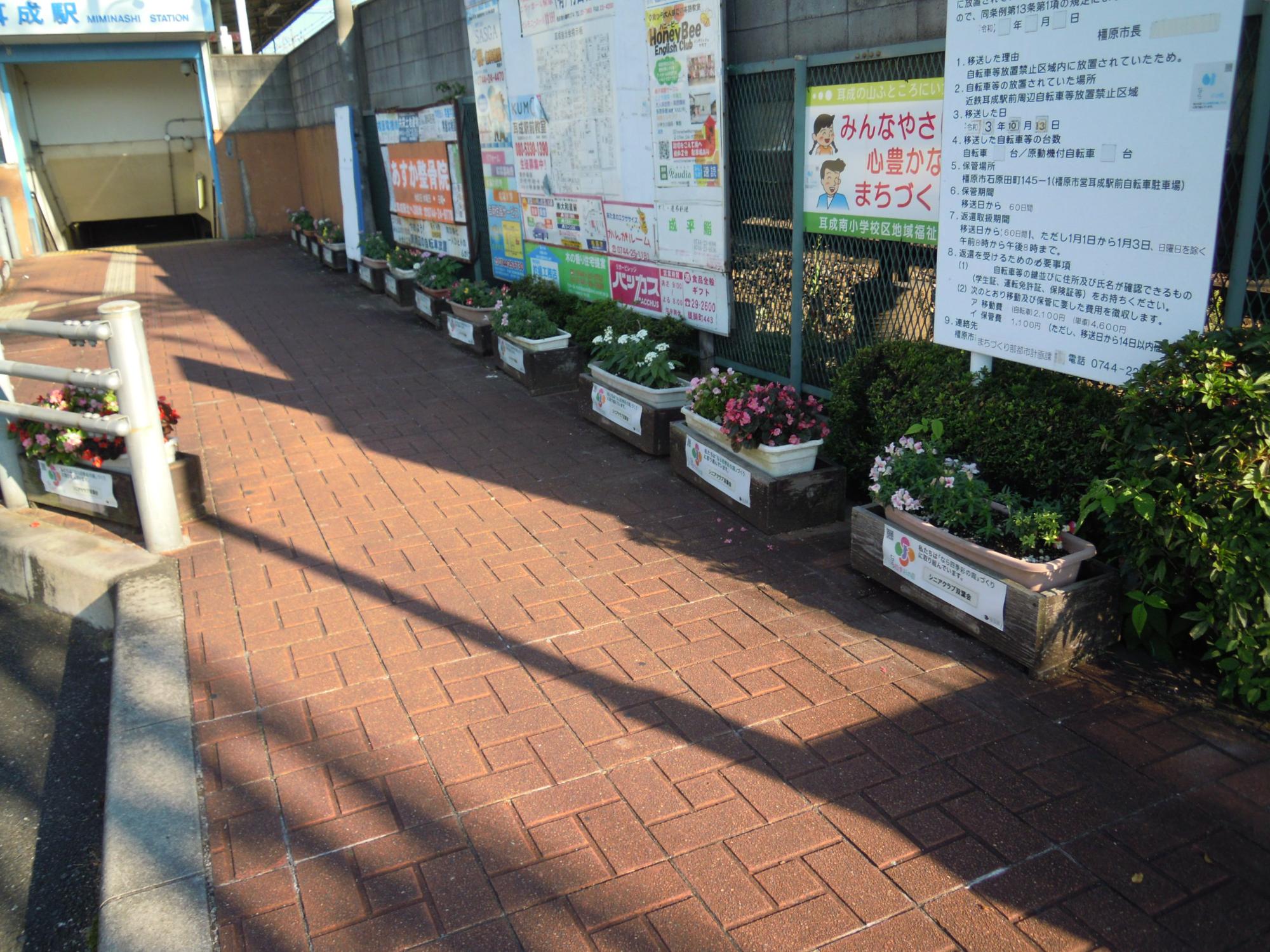 近鉄耳成駅北歩道にある色とりどりの花が咲いているたくさんある植木鉢の写真