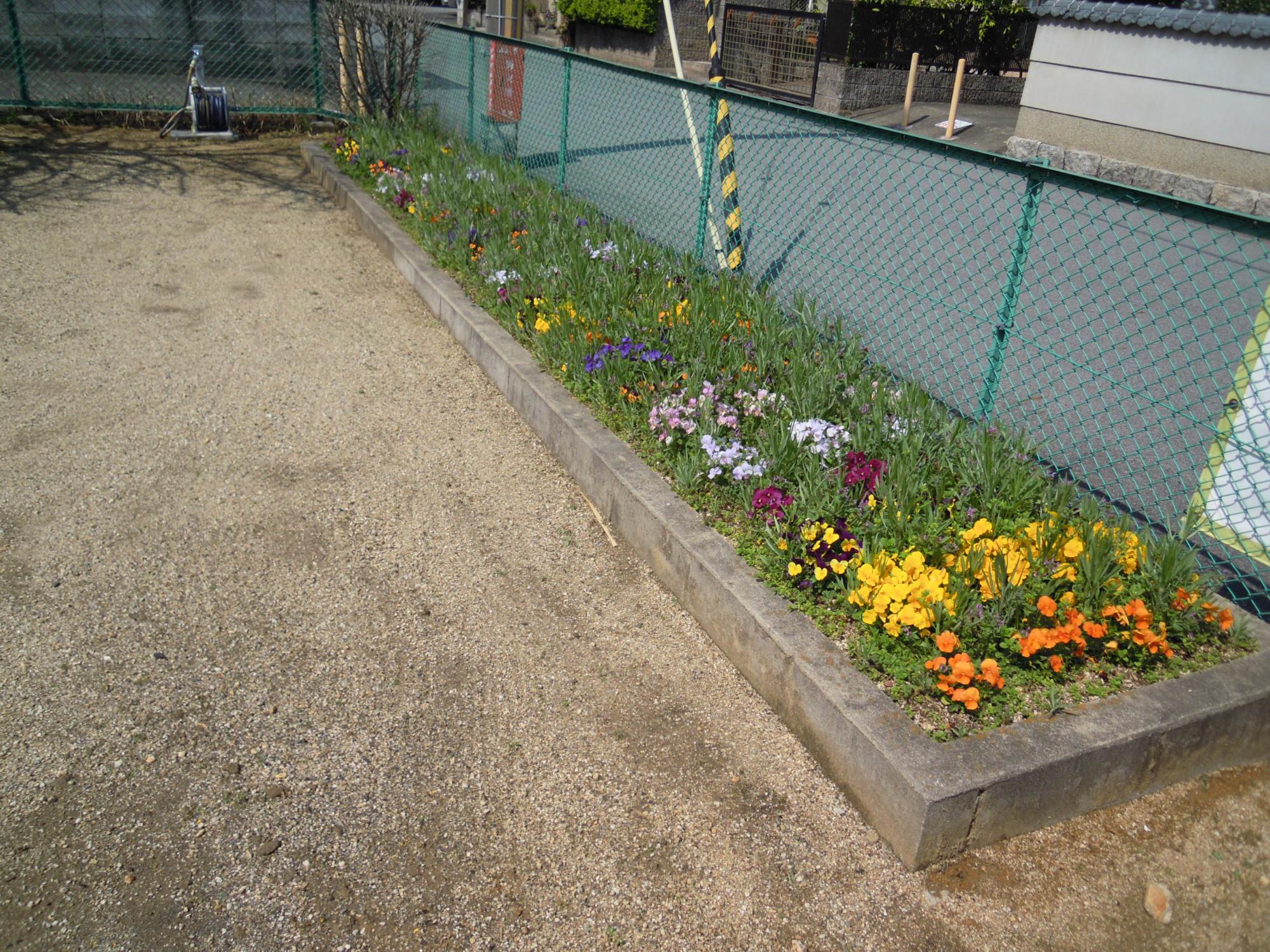 磐余団地児童公園の南側にある色とりどりの花が咲いている花壇の写真