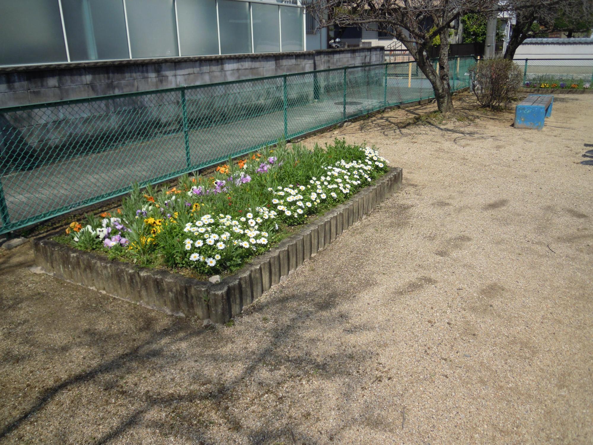 磐余団地児童公園の南側にある色とりどりの花が咲いている花壇の写真