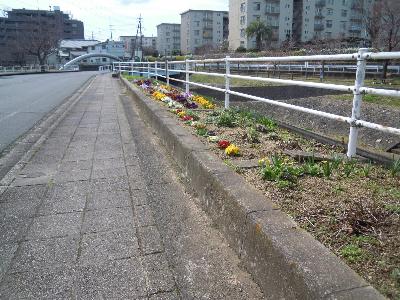 しらかし花をさかそう会