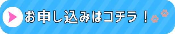 申込はこちら