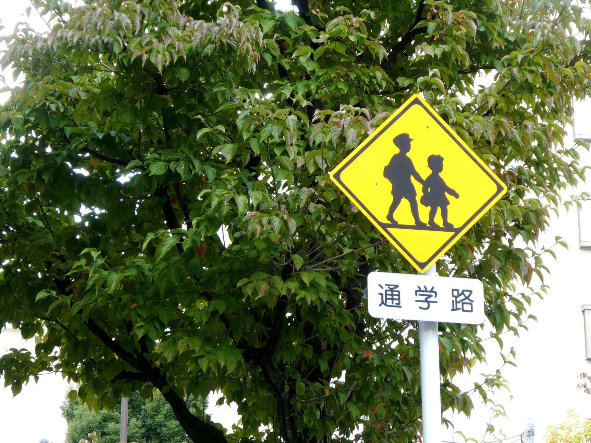 通学路