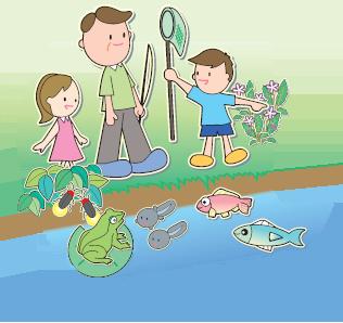蛍、カエル、オタマジャクシ、魚が生息している川で遊んでいる子供2人と父親のイラスト