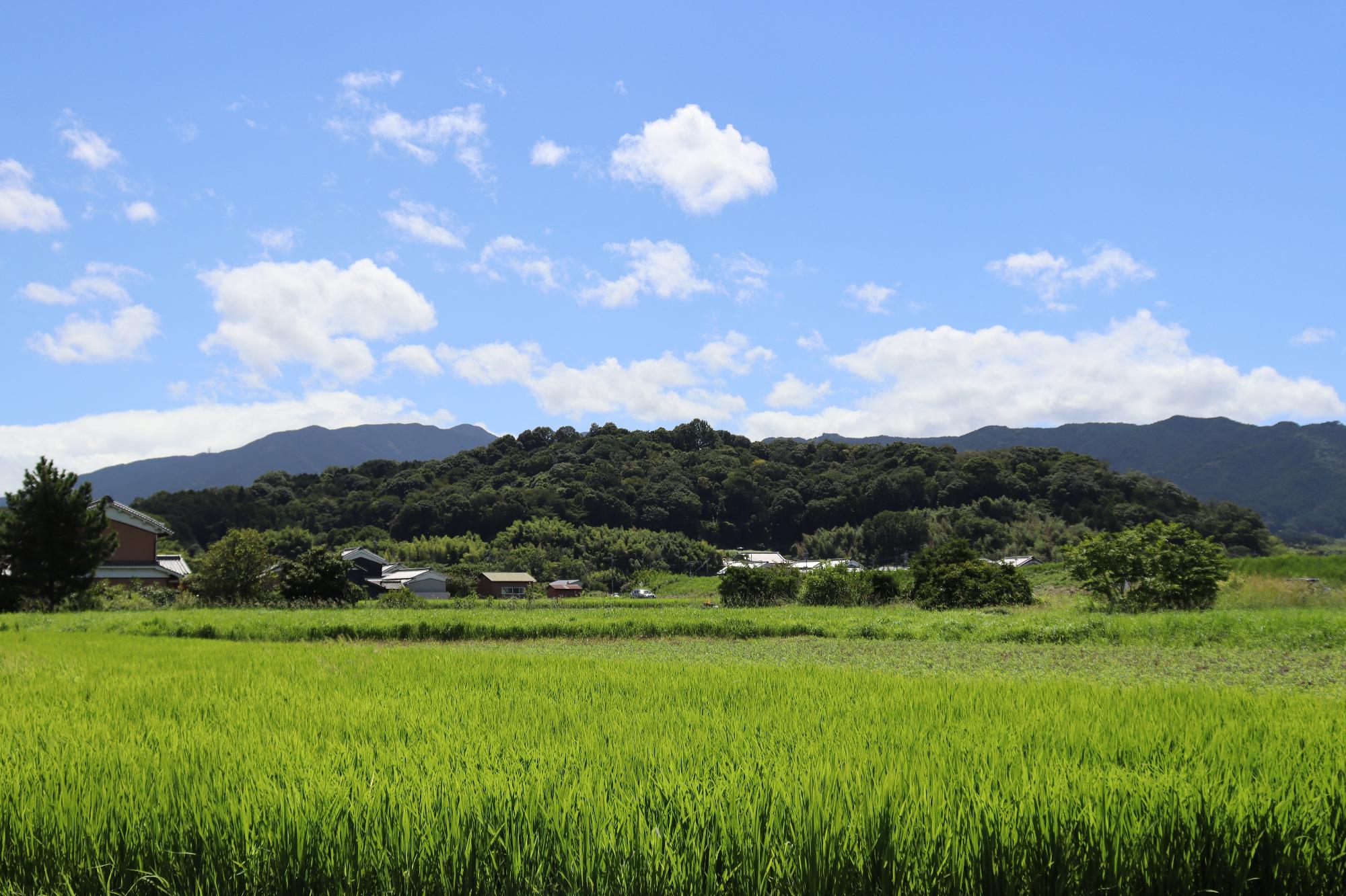 香具山