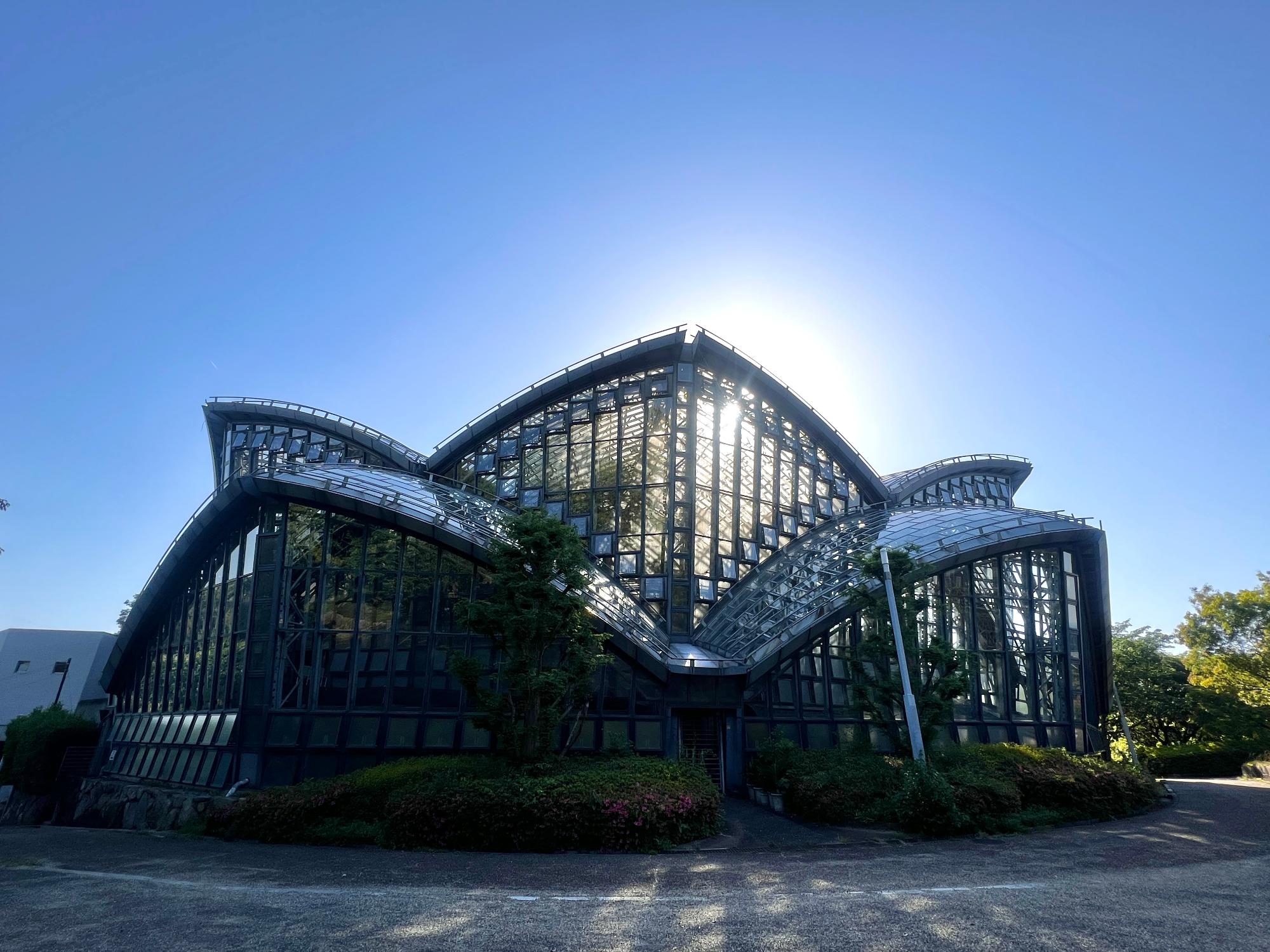 橿原市昆虫館