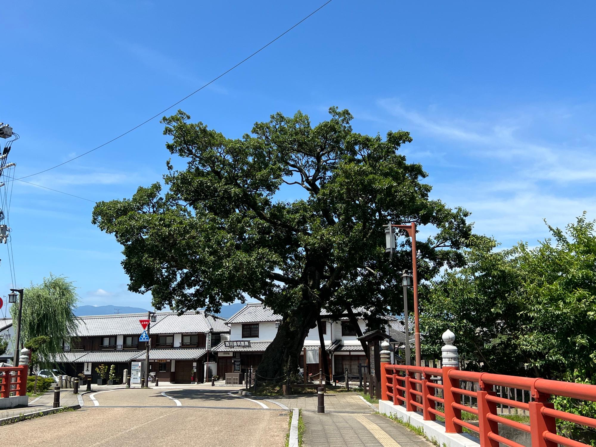 旧米谷家住宅（見学自由）