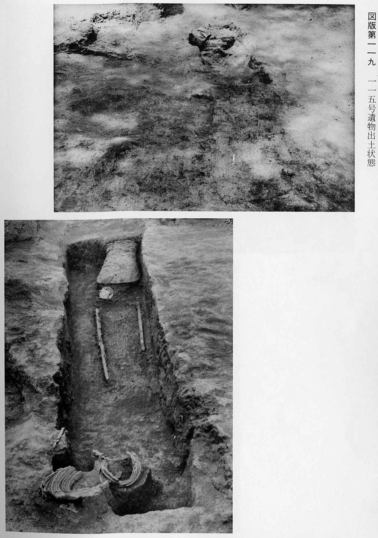 短い甲羅が出土した状態と、土器や棒が出土した状態を捉えた、図版119 115号遺物出土状態のモノクロ写真