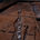 石組の暗渠溝を撮影した石川廃寺の様子の写真