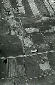 畑と藤原宮跡が見えるモノクロの航空写真
