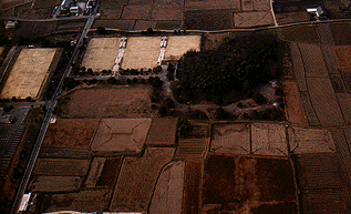 周りを茶色い田んぼに囲まれた寺跡の航空写真