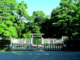 大きな木々の間に石の鳥居と囲いがある写真