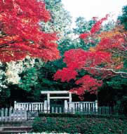 紅葉が広がる石川池（剣池）のほとりにある孝元天皇陵を写した写真