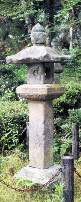 浄国寺境内に位置する、草木に囲まれた四角形の石灯籠を写した写真