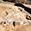菖蒲池古墳の発掘調査の写真