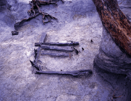 発掘された木組遺構の写真