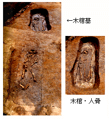 土の中から出土した木棺墓の写真と木棺と人骨の写真