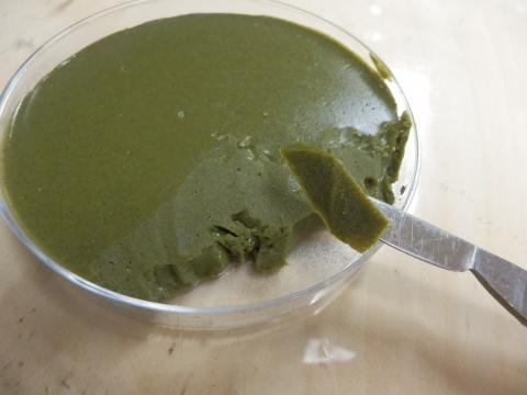 ミカンの葉っぱの粉を混ぜて固めた作られた緑色のゼリーの写真