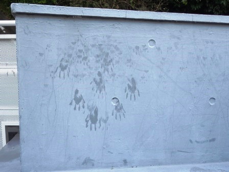 昆虫館の屋上の壁につけられたアライグマの複数の手形の写真