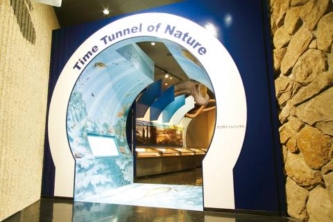 青い壁に白い円状の輪っかのトンネルが設置されている写真