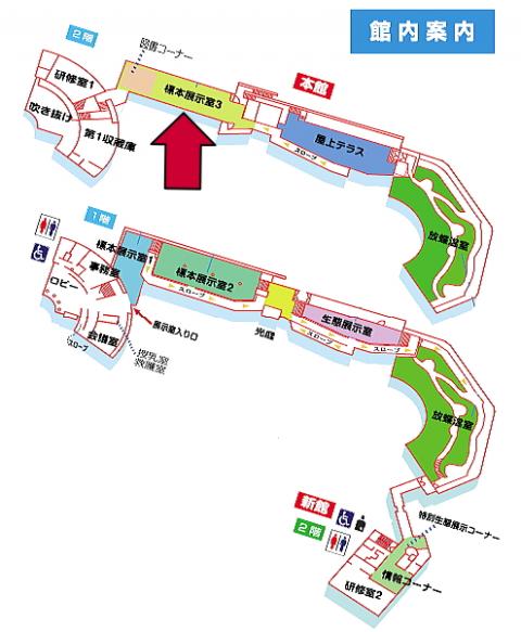 本館二階展示室への館内案内図