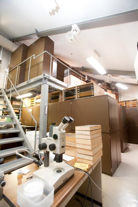 昆虫の標本の箱がいくつも積まれている机に顕微鏡が置かれている収蔵庫の写真