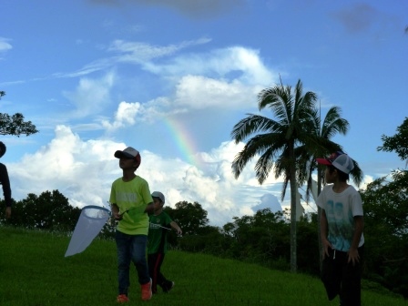 網を持って歩く子どもたちと、虹のかかった空の写真