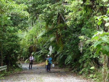 石垣島の森林の中で網を持っている子どもとそれを見守る人の写真
