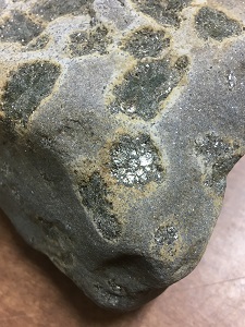 石の表面に花のような形のひびが入った石の写真