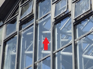 ガラス窓に矢印で蝶がいる場所を示している写真