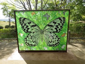 羽を開いた蝶を描いた大きなパネルの写真