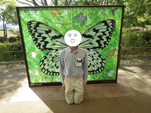 蝶のパネルの前で膝立ちし、背中に蝶の羽が生えているように見える写真