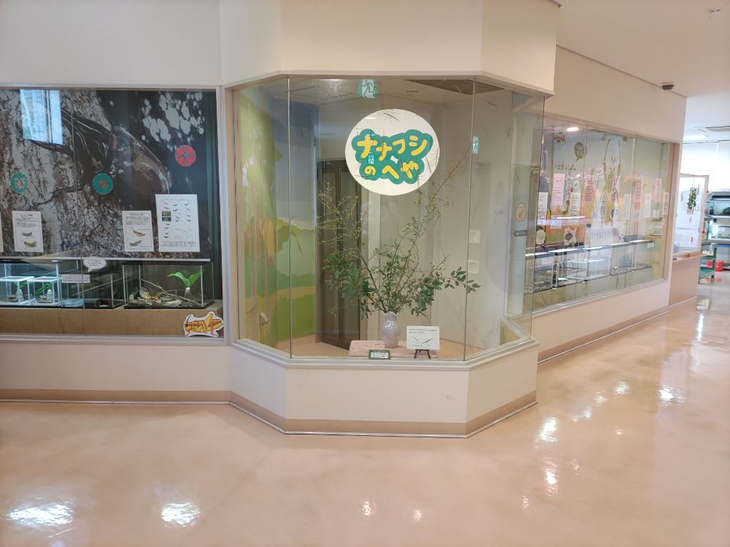 様々な昆虫や生き物の展示を行っている展示室内の写真