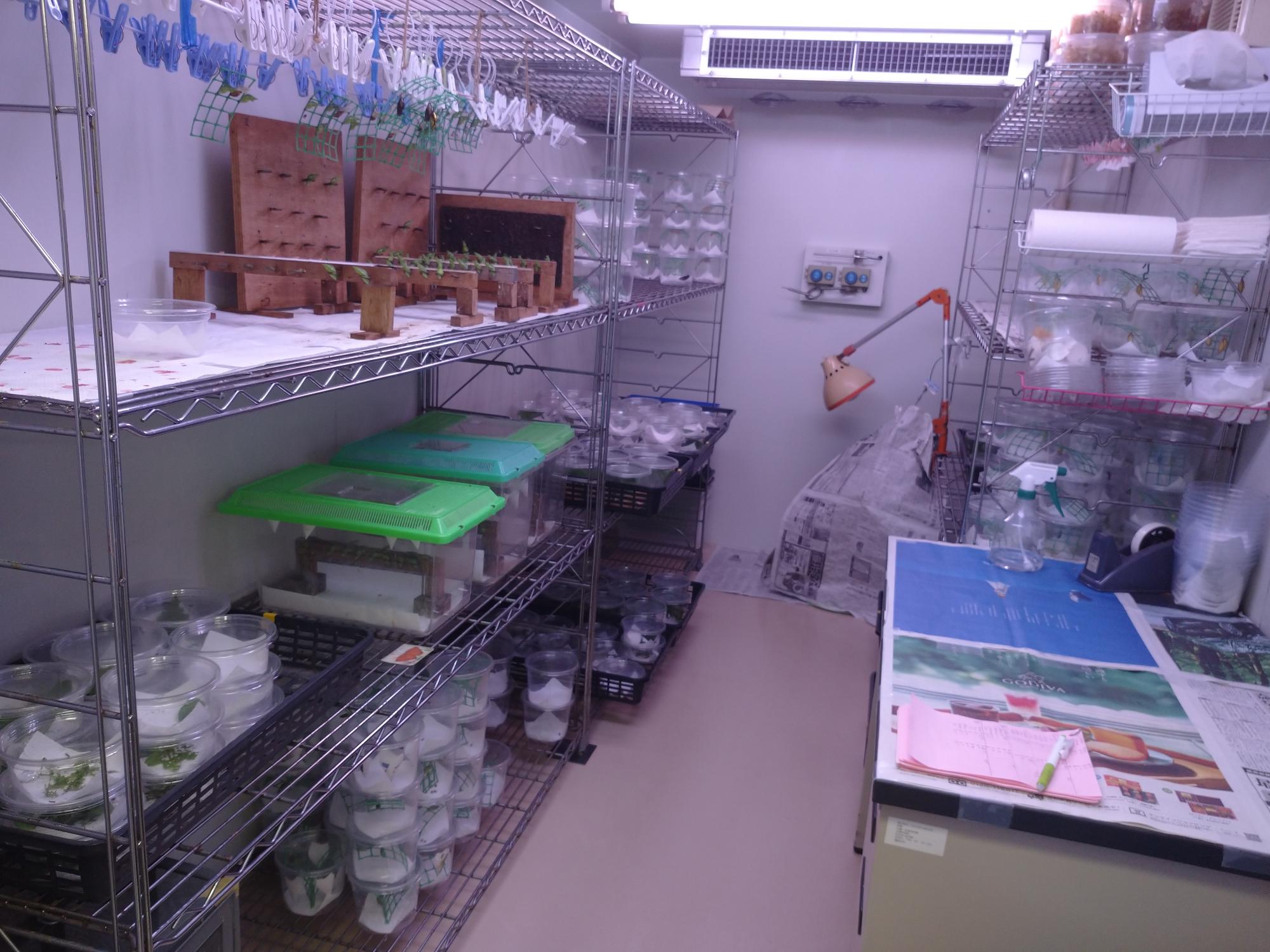 （イメージ）昆虫館バックヤードツアー 2/22、2/23