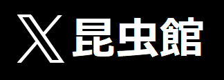 エックス旧ツイッター