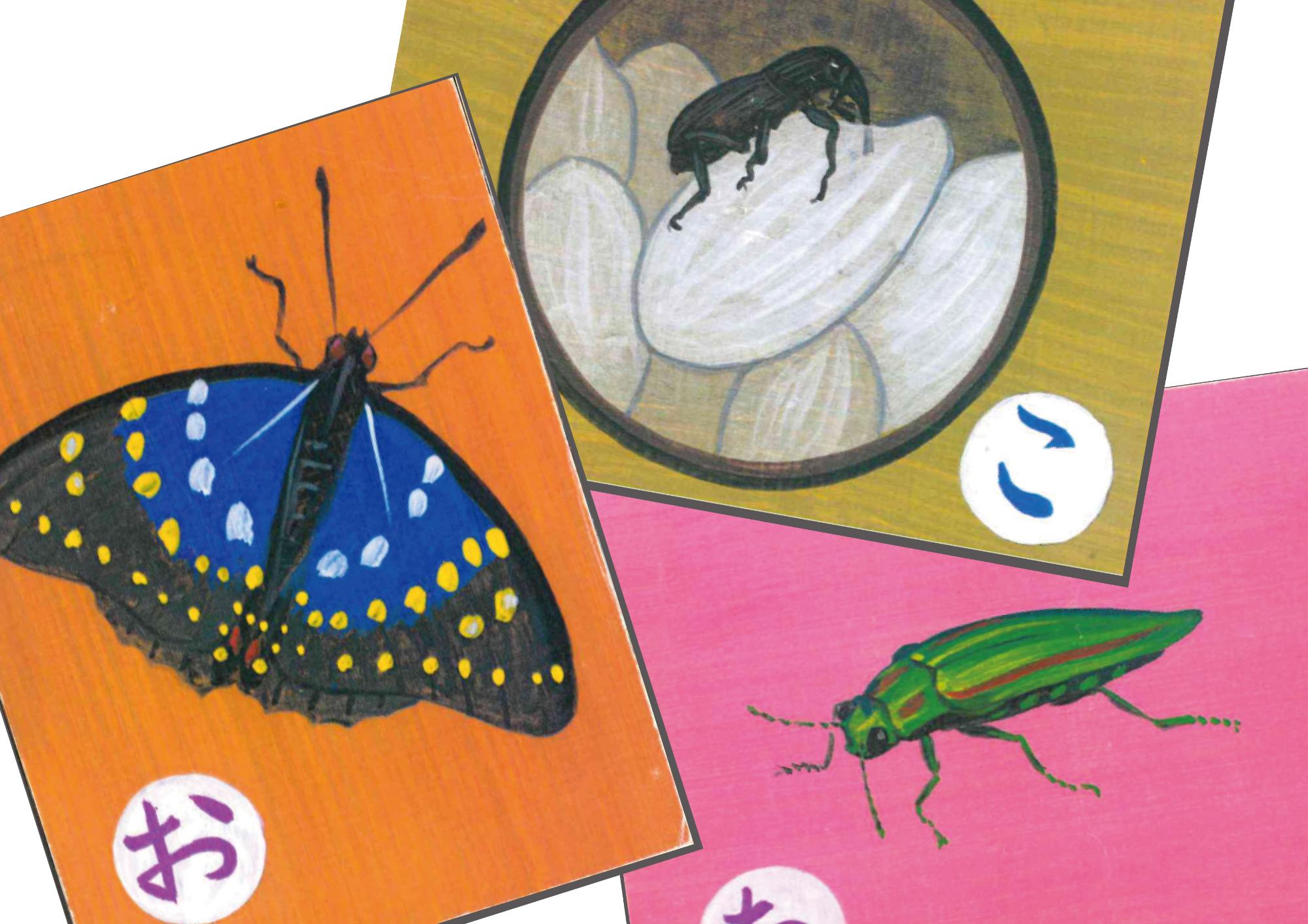 （イメージ）むしかるた 3/22、4/5