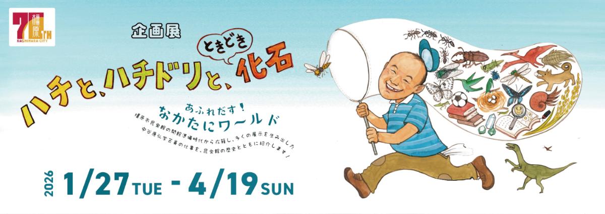 企画展ハチとハチドリとときどき化石
