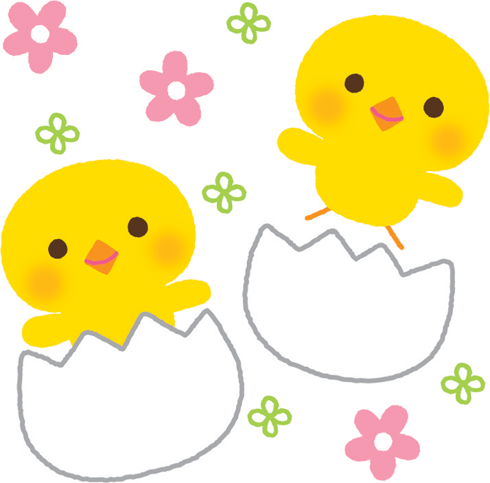 かわいいひよこ