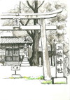 横大路「三輪神社 」が描かれた絵はがき（セピア調）