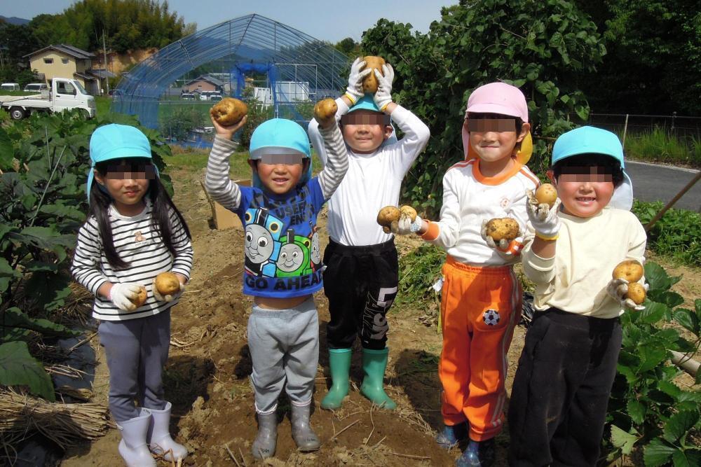 田植え
